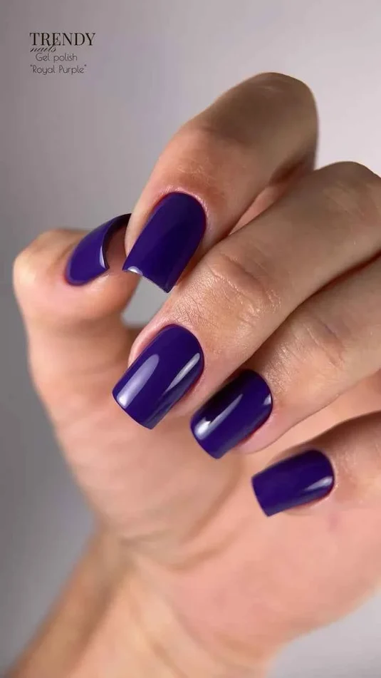 Trendynails-Гел лак-''ROYAL PURPLE''-10мл