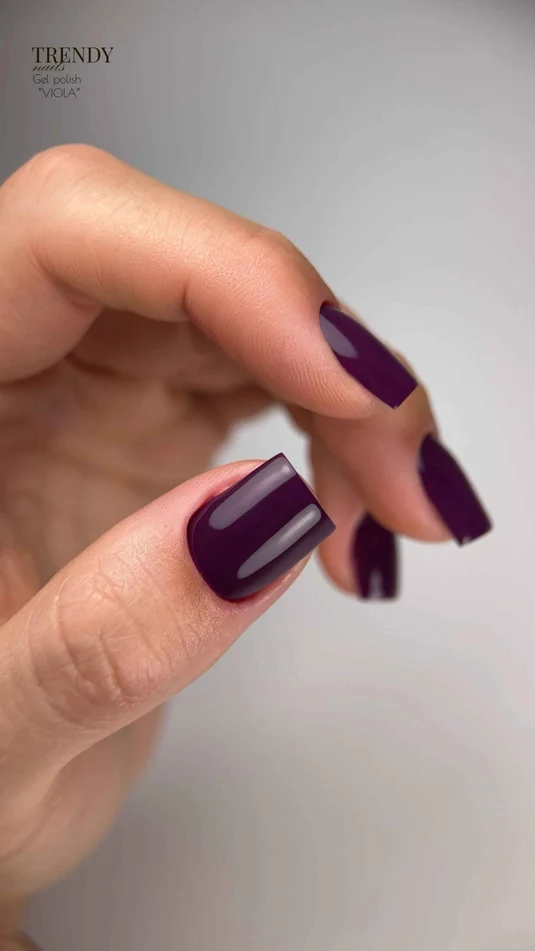 Trendynails-Гел лак-"VIOLA"-10мл - Image 2