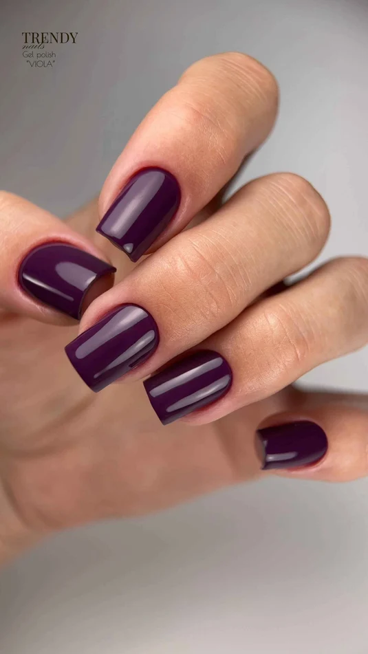 Trendynails-Гел лак-"VIOLA"-10мл