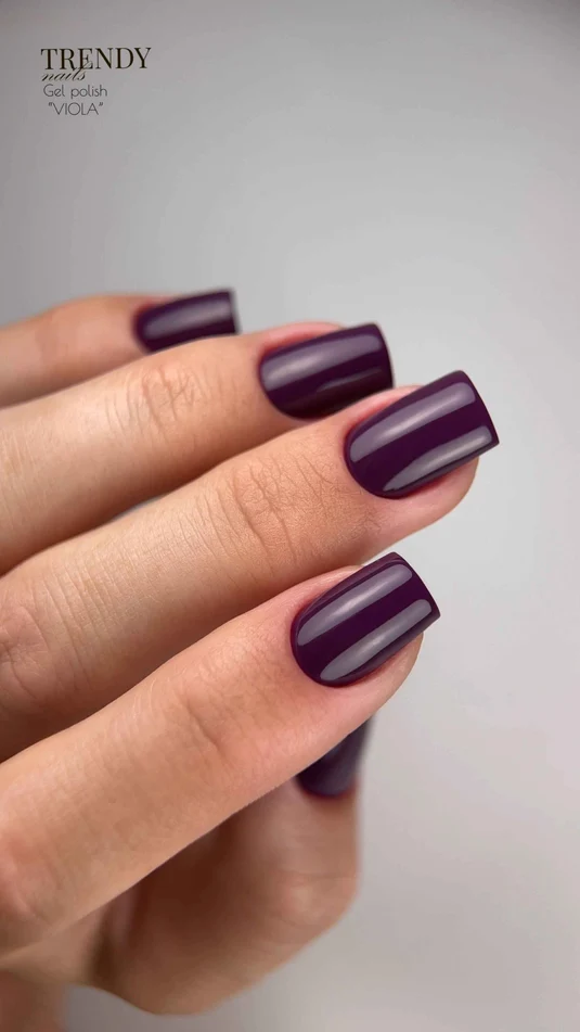 Trendynails-Гел лак-"VIOLA"-10мл - Image 3